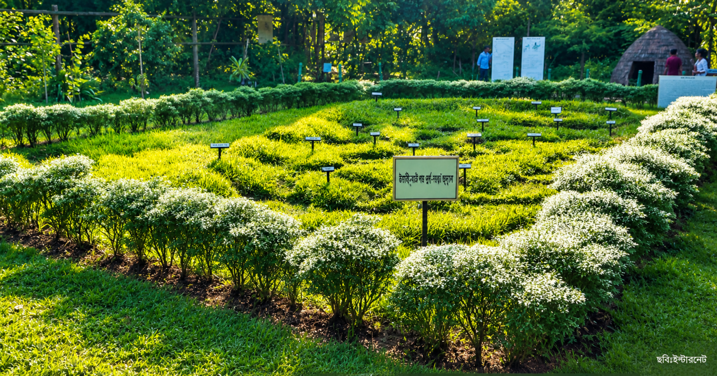 উয়ারী বটেশ্বর